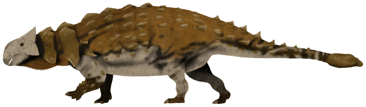 Ankylosaurus magniventris