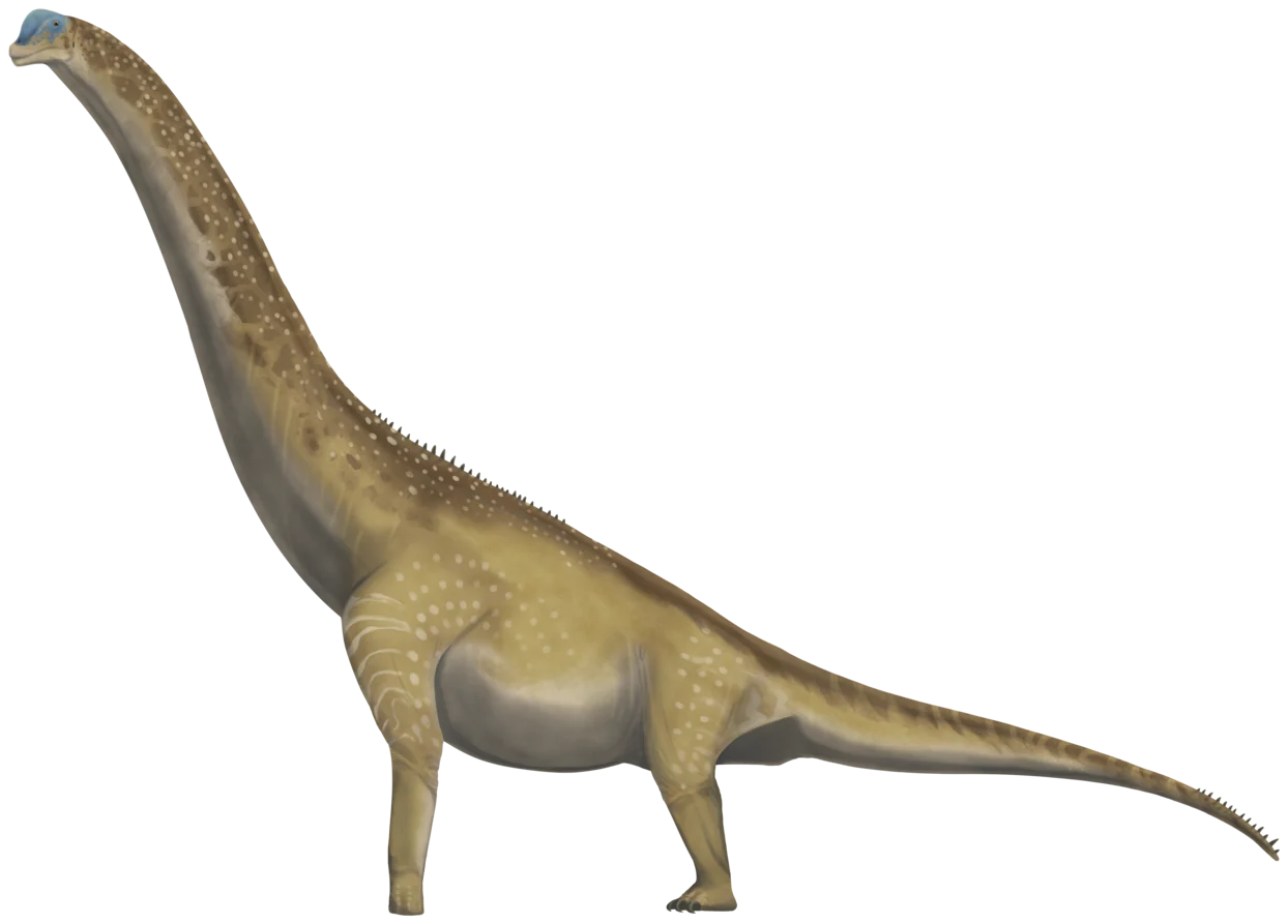 Brachiosaurus altithorax