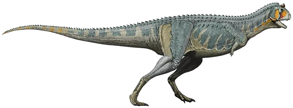 Carnotaurus sastrei
