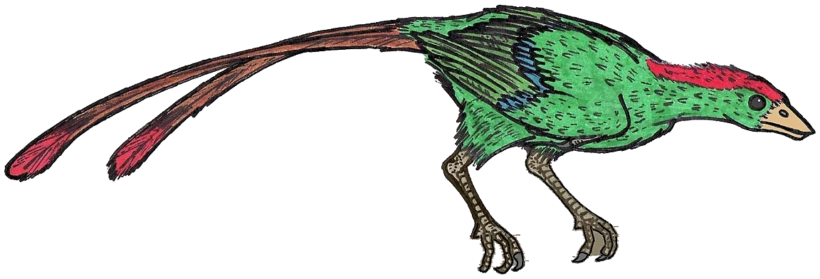 Confuciusornis sanctus