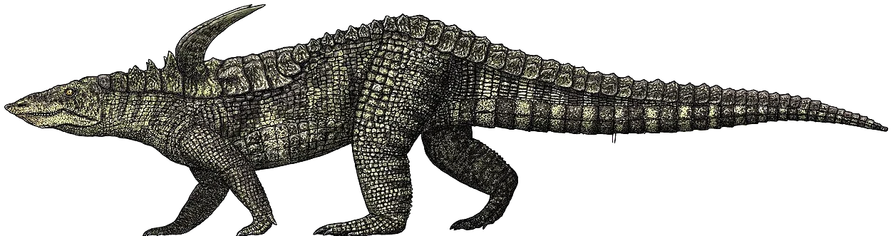Desmatosuchus spurensis
