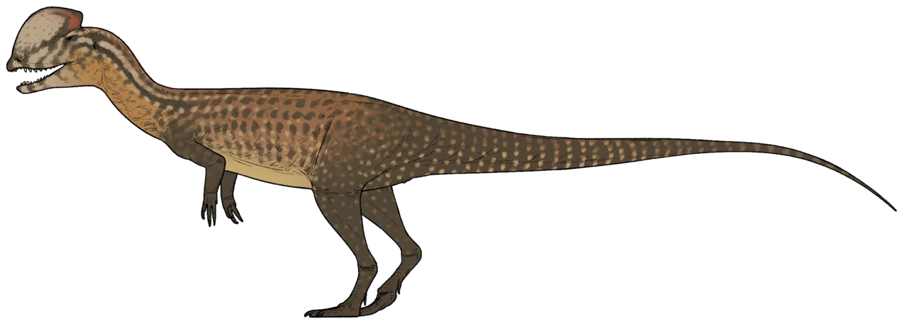Dilophosaurus wetherilli