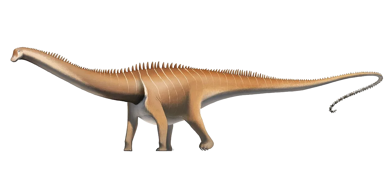 Diplodocus
