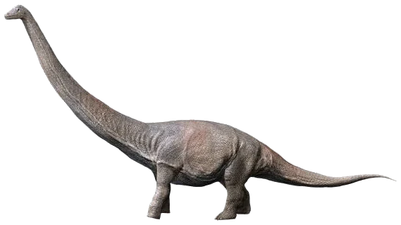 Dreadnoughtus schrani