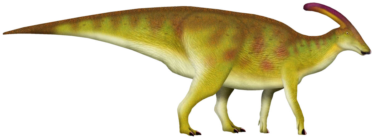 Parasaurolophus walkeri