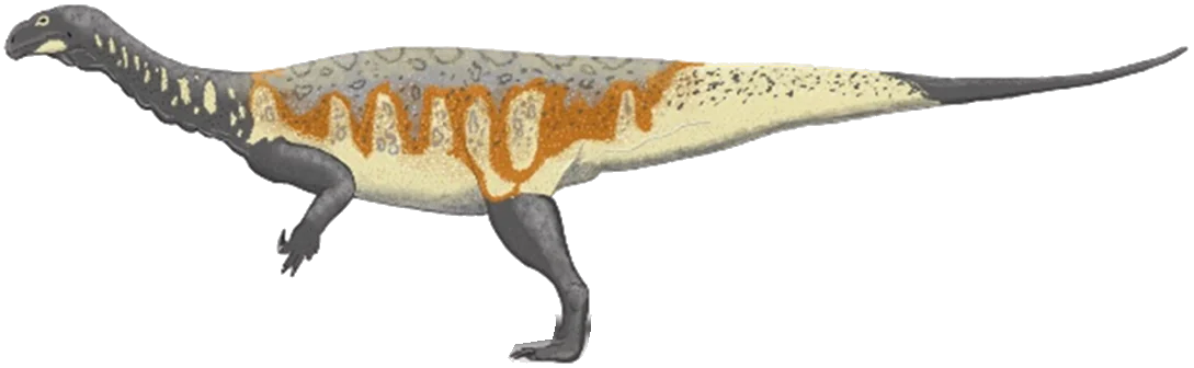 Plateosaurus trossingensis