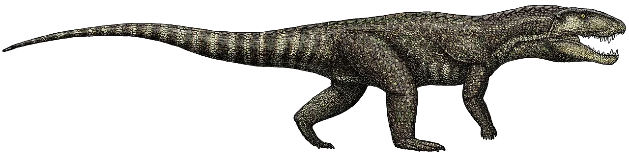 Postosuchus kirkpatricki