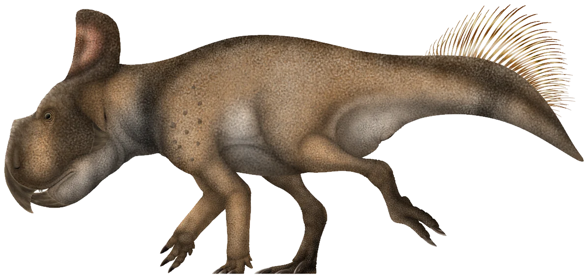 Protoceratops andrewsi