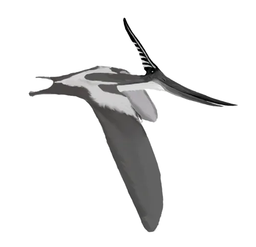 Pteranodon longiceps