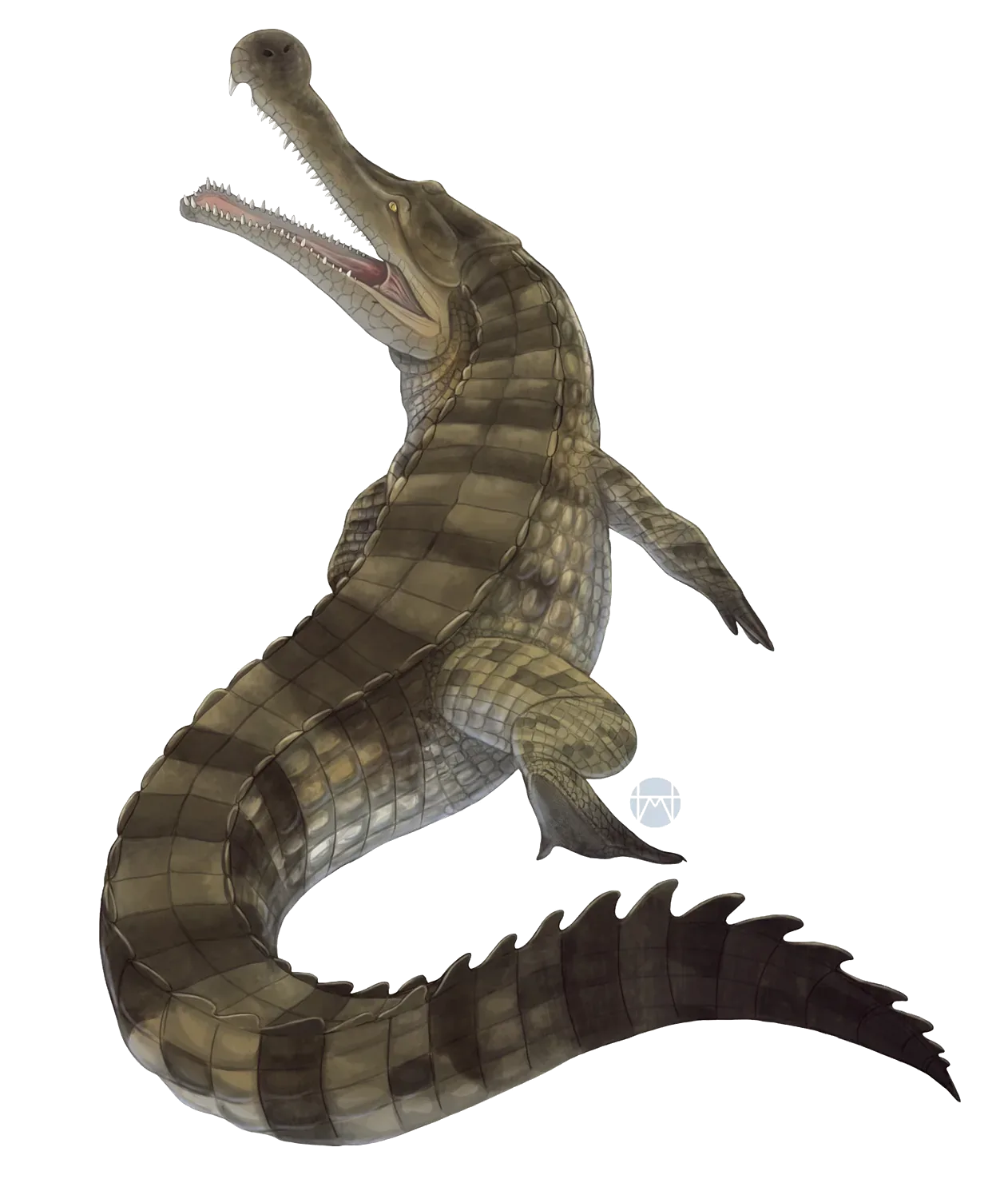 Sarcosuchus imperator
