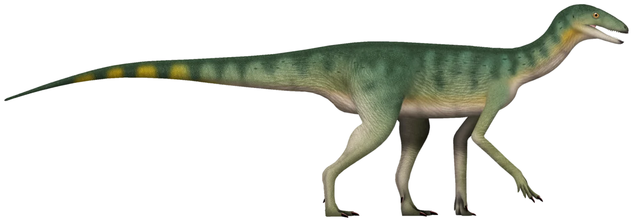Silesaurus opolensis