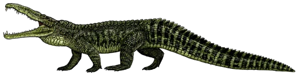 Smilosuchus gregorii