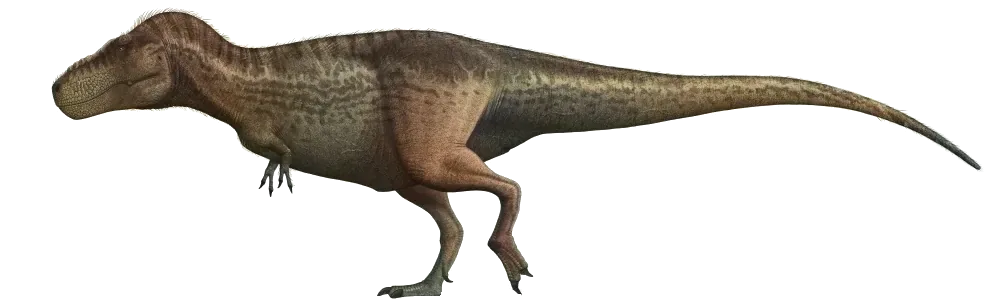 Tyrannosaurus rex