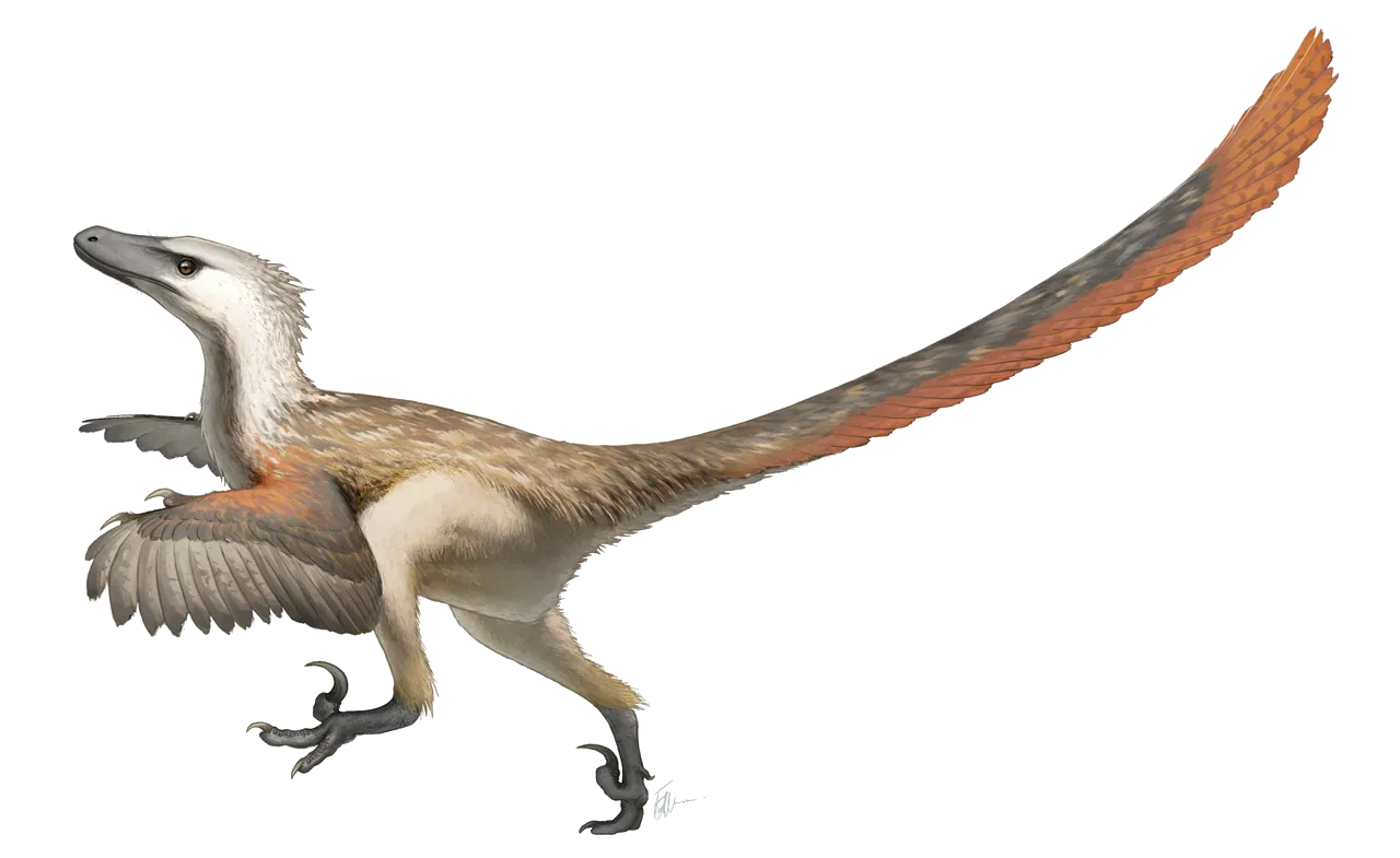 Velociraptor mongoliensis