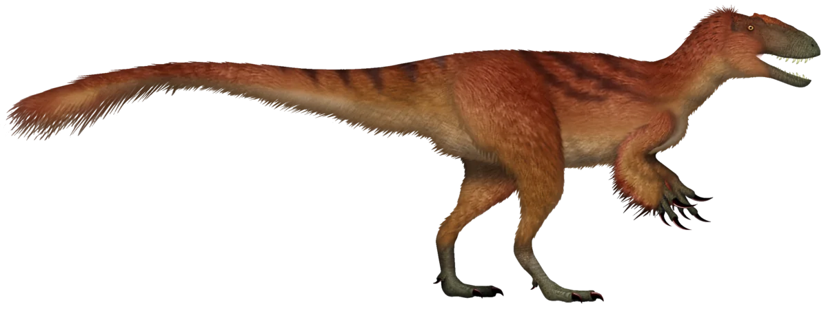 Yutyrannus huali